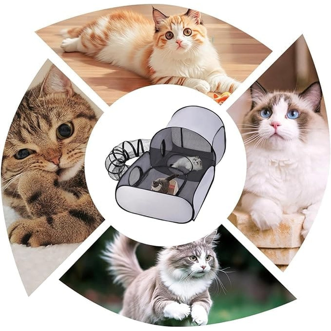 Opvouwbare kattenren voor binnen en buiten