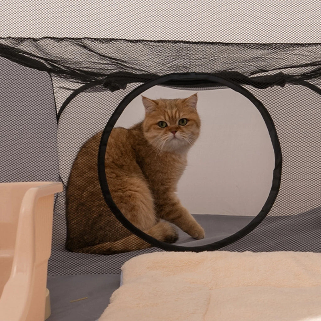 Opvouwbare kattenren voor binnen en buiten